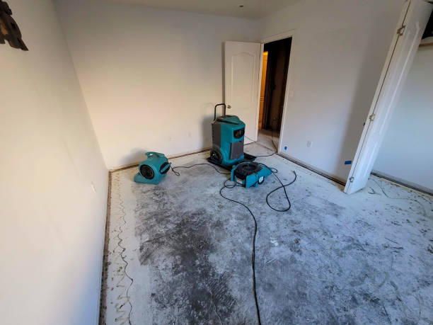 Best Flood restoration services  in Commerce, GA