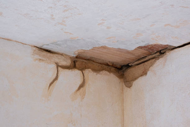 Best Water damage contractors near me  in Commerce, GA