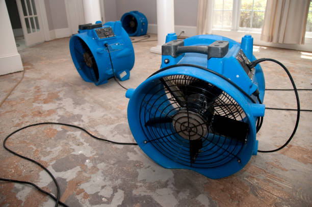 Best Sewage cleanup and water damage restoration  in Commerce, GA