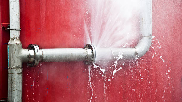 Best Mold removal after water damage  in Commerce, GA
