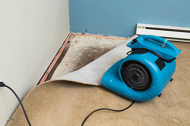 Best Flood damage cleanup  in Commerce, GA