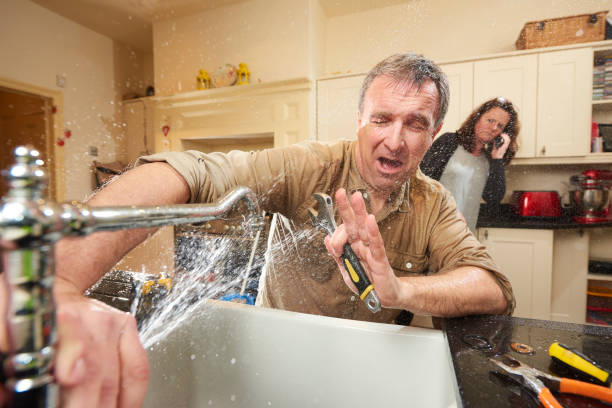 Best Professional water damage repair  in Commerce, GA